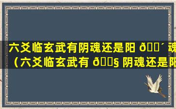 六爻临玄武有阴魂还是阳 🌴 魂（六爻临玄武有 🐧 阴魂还是阳魂呢）